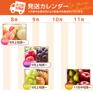  ≪先行受付≫【2026度年発送】8種のフルーツ詰合せセット★スペシャル便【定期便全４回】 060-T05