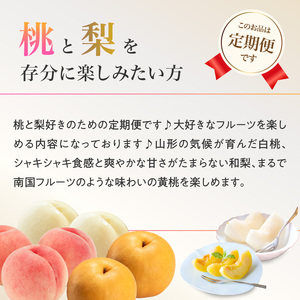 ≪先行受付≫【2026年度発送】 桃と梨好きの満足定期便【定期便全3回】060-T10