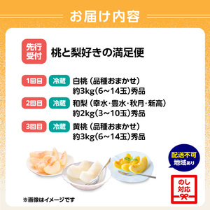 ≪先行受付≫【2026年度発送】 桃と梨好きの満足定期便【定期便全3回】060-T10