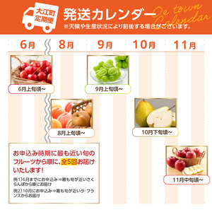 ≪先行受付≫ デリシャス6種のフルーツ盛定期便【定期便全5回】060-T07