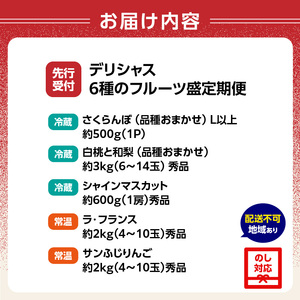 ≪先行受付≫ デリシャス6種のフルーツ盛定期便【定期便全5回】060-T07