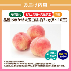 《先行受付》品種おまかせ 大玉白桃 約3kg【特秀】 （8～10玉）【2026年8月上旬頃～発送予定】 001-100
