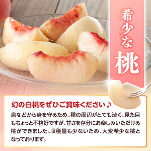 ≪先行受付≫ 甘～い プレミアム白桃 約5kg【2026年8月中旬頃～発送予定】 060-015