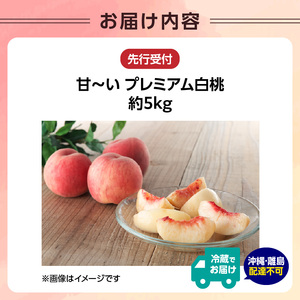 ≪先行受付≫ 甘～い プレミアム白桃 約5kg【2026年8月中旬頃～発送予定】 060-015