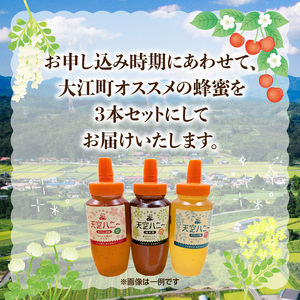 004-011 天空ハニー蜂蜜3点セット【道の駅おおえ】