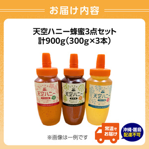 004-011 天空ハニー蜂蜜3点セット【道の駅おおえ】