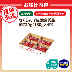 【2026年度先行受付】★さくらんぼ佐藤錦★約720g 秀品 【6月より順次発送予定】 063-011