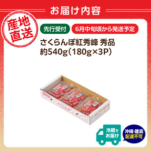 【2026年度先行受付】★さくらんぼ紅秀峰★約540g 秀品 【6月より順次発送予定】 063-008