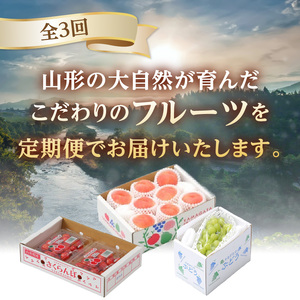 【発送月固定】山形旬彩！こだわりフルーツ定期便全３回Ｂ 063-T02