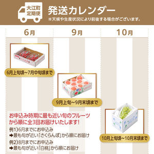 【発送月固定】山形旬彩！こだわりフルーツ定期便全３回Ｂ 063-T02