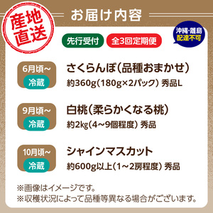 【発送月固定】山形旬彩！こだわりフルーツ定期便全３回Ｂ 063-T02