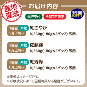 山形さくらんぼ ３種食べ比べ定期便【定期便全３回】 063-T04