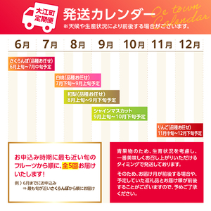 060-T11 山形フルーツ人気メドレー便【定期便全5回】