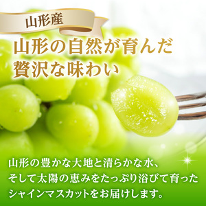 《先行受付》★山形産シャインマスカット★約700g以上(1～2房)秀品【2026年9月頃～順次発送予定】 063-014