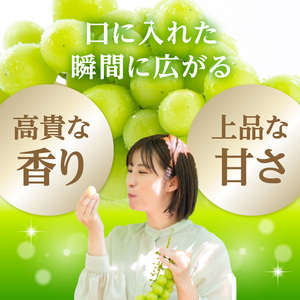 《先行受付》★山形産シャインマスカット★約700g以上(1～2房)秀品【2026年9月頃～順次発送予定】 063-014