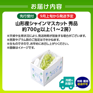 《先行受付》★山形産シャインマスカット★約700g以上(1～2房)秀品【2026年9月頃～順次発送予定】 063-014