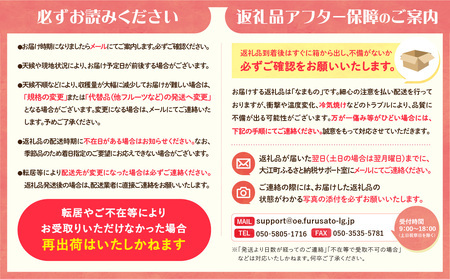 《先行受付》★山形産シャインマスカット★約700g以上(1～2房)秀品【2026年9月頃～順次発送予定】 063-014
