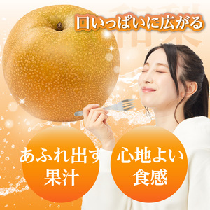 《先行受付》★山形産和梨(品種お任せ)★約3kg(6~12玉程度)秀品【2026年9月頃~順次発送予定】 063-015