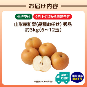 《先行受付》★山形産和梨(品種お任せ)★約3kg(6~12玉程度)秀品【2026年9月頃~順次発送予定】 063-015