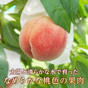 《先行受付》★硬い白桃（品種おまかせ）★約3kg(6～12玉程度)秀品【2026年8月中旬頃～順次発送予定】 063-016