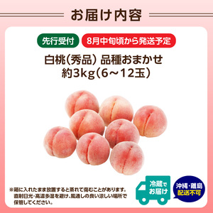 《先行受付》★硬い白桃（品種おまかせ）★約3kg(6～12玉程度)秀品【2026年8月中旬頃～順次発送予定】 063-016