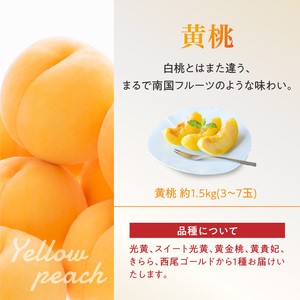 《先行受付》白桃と黄桃詰合せ3kg【2026年8月頃より順次発送予定】 060-016