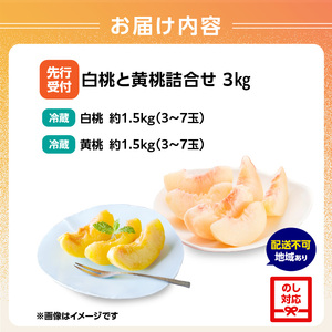 《先行受付》白桃と黄桃詰合せ3kg【2026年8月頃より順次発送予定】 060-016