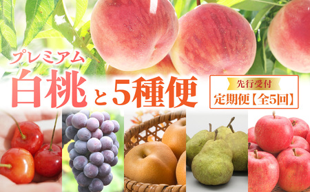 《先行受付》プレミアム白桃と5種便【定期便全5回】 060-T12