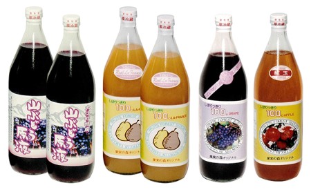 大江の恵6本ギフト山ブドウ原液・ラ・フランス・ぶどう・紅玉各1000ml)
