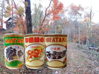 大江町柳川産 原木きのこ水煮3種(なめこ・舞茸・ひらたけ)
