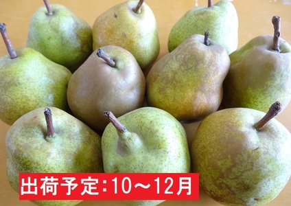 年内 訳あり ラ フランス約5kg 山形洋梨 山形県大江町 ふるさと納税サイト ふるなび