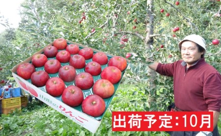 10月 大江の恵み 大玉紅玉約4.5kg・秀以上【山形りんご・大江町産】