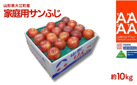 12月 特別栽培 訳あり 家庭用サンふじ約10kg 【山形りんご・大江町産・鈴木果樹園】
