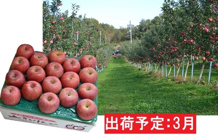 3月 サンふじ約5kg・秀品【大江町産・山形りんご・大地農産】