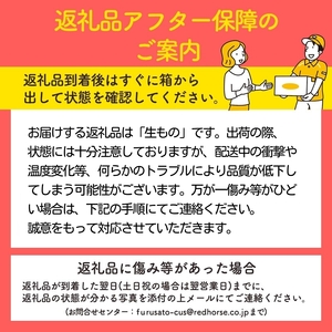 先行予約》贈答規格 旬のりんご詰合せ約3kg（サンふじ確約3種以上）特