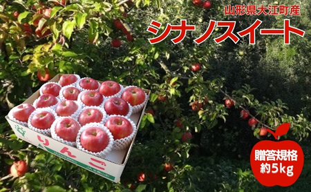10月 贈答規格 シナノスイート約5kg(特秀~秀16~20玉)【大江町産・山形りんご・りんご専科 清野哲生】