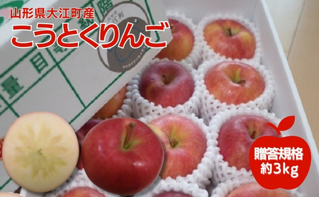 11月 贈答規格 蜜入りこうとくりんご約3kg特秀~秀【大江町産・山形りんご・りんご専科 清野哲生】