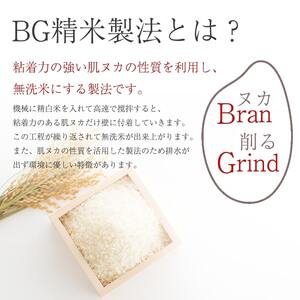 6ヶ月定期便》山形県産 無洗米 つや姫 5kg×6ヶ月(計30kg)【山形県産 BG