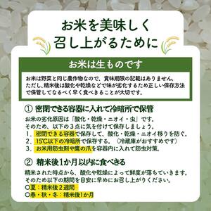 6ヶ月定期便》山形県産 無洗米 つや姫 5kg×6ヶ月(計30kg)【山形県産 BG