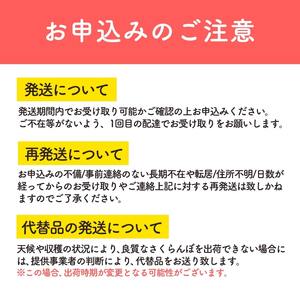 ≪先行予約≫さくらんぼ 佐藤錦 1.2kg (200g×6) 秀品 Lサイズ【2024年6