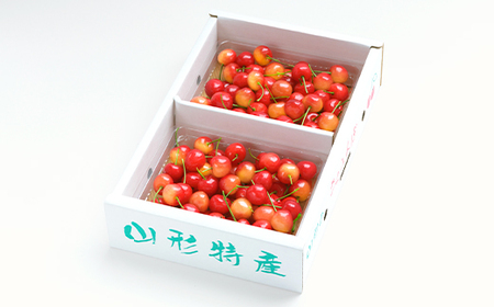 【先行予約】 フルーツ 定期便 全5回 さくらんぼ 佐藤錦 もも 白桃 ぶどう シャインマスカット ラ・フランス りんご サンふじ シナノゴールド 果物 2026年産 令和8年産 山形県産 ns-ft5xx-s