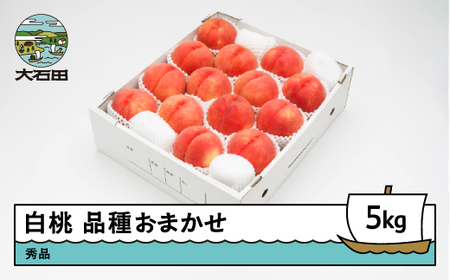 【先行予約】 もも 白桃 秀品 品種おまかせ 約5kg 化粧箱入りフルーツ 果物 2026年産 令和8年産 山形県産 ns-mohtx5