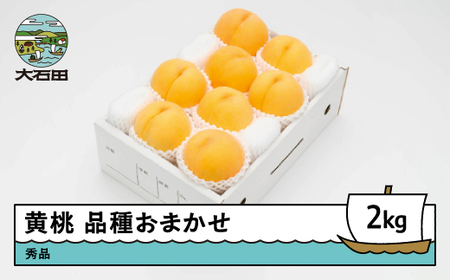 【先行予約】  もも 有袋黄桃 秀品 品種おまかせ 約2kg 化粧箱入りフルーツ 果物 2026年産 令和8年産 山形県産 ns-mootx2