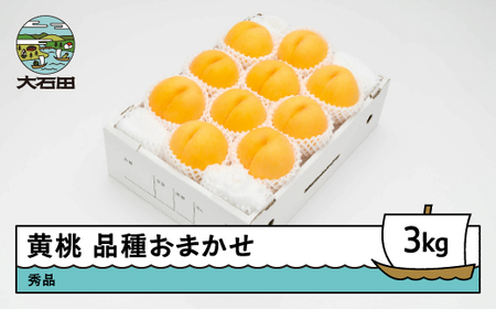 【先行予約】  もも 有袋黄桃 秀品 品種おまかせ 約3kg 化粧箱入りフルーツ 果物 2026年産 令和8年産 山形県産 ns-mootx3