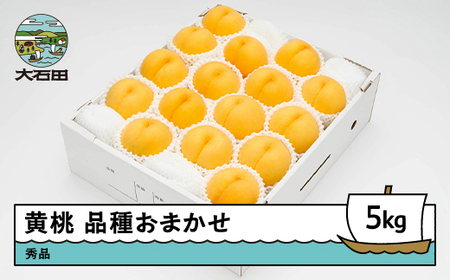 【先行予約】  もも 有袋黄桃 秀品 品種おまかせ 約5kg 化粧箱入りフルーツ 果物 2026年産 令和8年産 山形県産 ns-mootx5