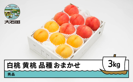 【先行予約】  もも 白桃＆有袋黄桃 秀品 品種おまかせ 約3kg 化粧箱入りフルーツ 果物 2026年産 令和8年産 山形県産 ns-mohot3