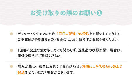 【先行予約】 もも 白桃 秀品&和梨 品種おまかせ 約3kg 詰め合わせ なしフルーツ 果物 2026年産 令和8年産 山形県産 ※沖縄・離島への配送不可 ns-fshnx3