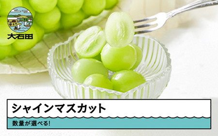 【先行予約】 ぶどう シャインマスカット 秀品 1房 約600g フルーツ 果物 2026年産 令和8年産 期間限定 冷蔵配送 グルメ 取り寄せ ご当地 特産 産地 直送 東北 山形県 人気 山形県産 ns-busmx600