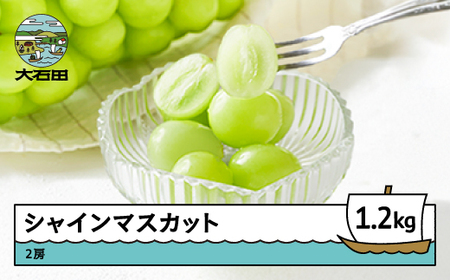 【先行予約】 ぶどう シャインマスカット 秀品 2房 約600g×2 フルーツ 果物 2026年産 令和8年産 期間限定 冷蔵配送 グルメ 取り寄せ ご当地 特産 産地 直送 東北 人気 山形県産 ns-busmx1200