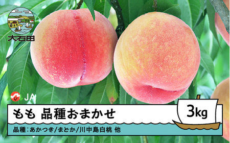 【先行予約】桃 品種おまかせ 3kg 2026年産 令和8年産 もも モモ 果物 フルーツ 果樹 ja-moxxx3 ※沖縄・離島への配送不可